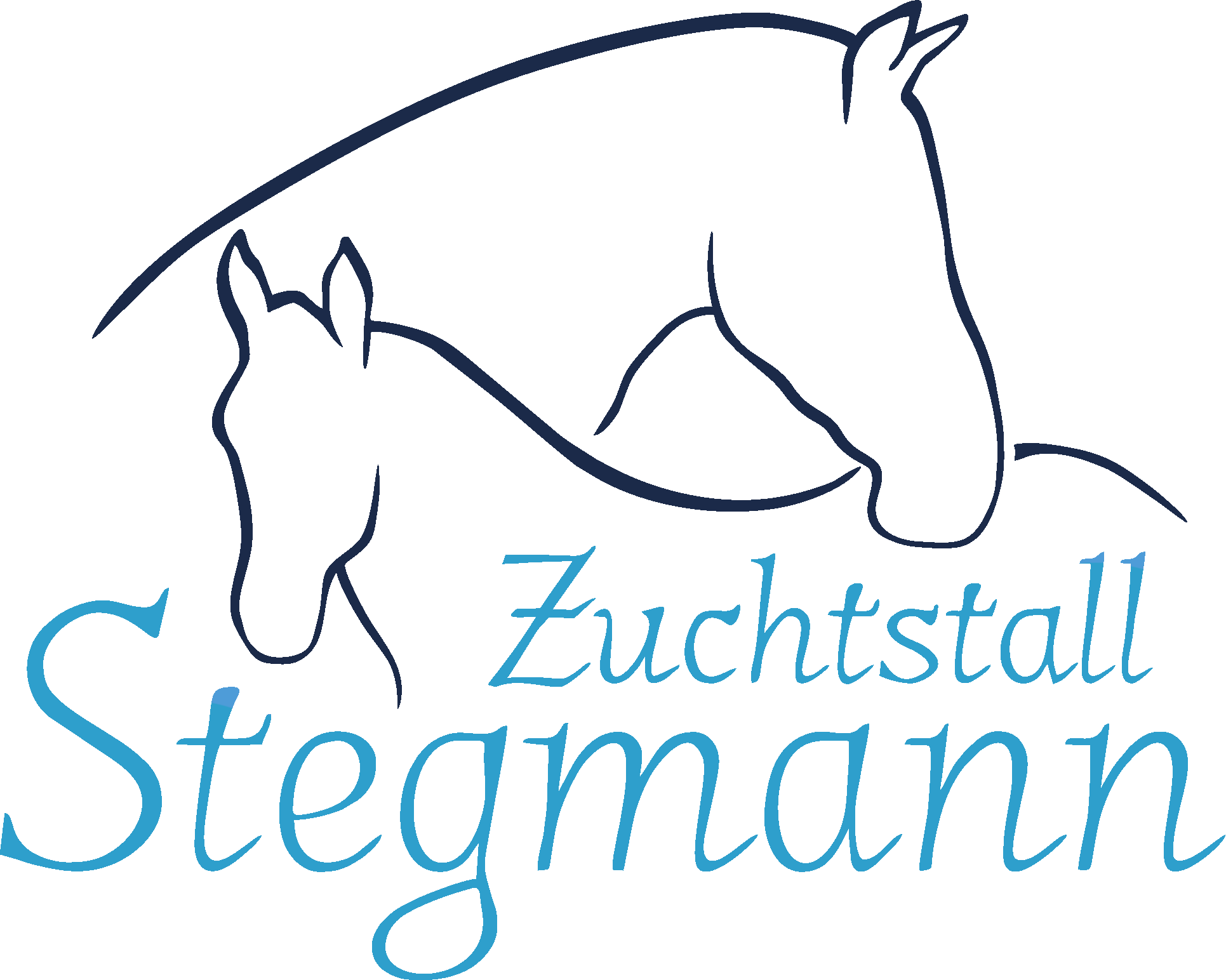 Zuchtstall Stegmann Logo