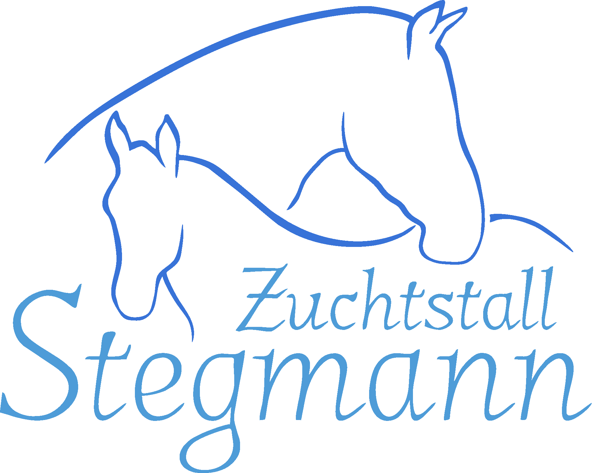 logo-blau