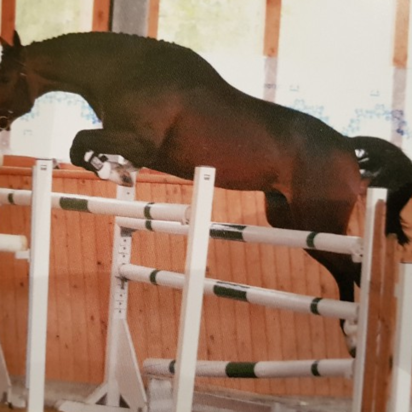 epsom-quatro-erfolge